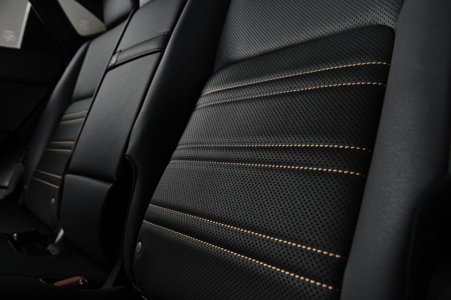 Детали интерьера Lexus NX300 Black Line 2019 года  (NA) (фото 4 из 9)